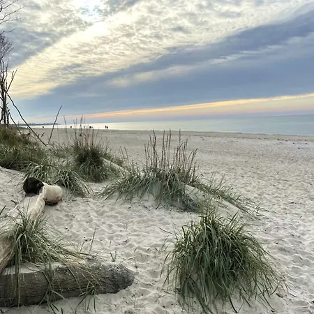 Ostseelodge Eins Holiday home Fuhlendorf (Mecklenburg-Vorpommern)