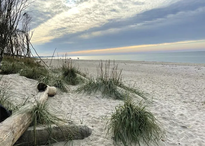 Ostseelodge Eins 別荘 Fuhlendorf